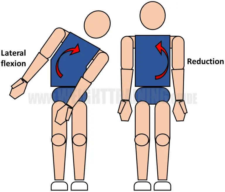 joint-articulations-and-the-three-planes-of-motion-muscle-activation