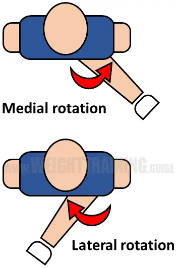 Lateral and medial rotation of hip
