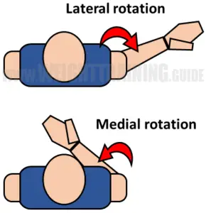 Joint articulations and the three planes of motion - Muscle Activation ...