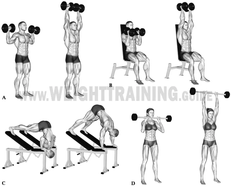 Vertical pushing exercises | Muscle Activation Guide