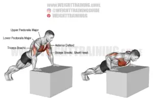 Incline push-up on a box instructions and video | WeightTraining.guide