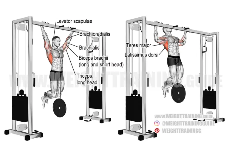 Weighted pull-up