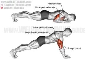Bodyweight triceps extension instructions and video | WeightTraining.guide
