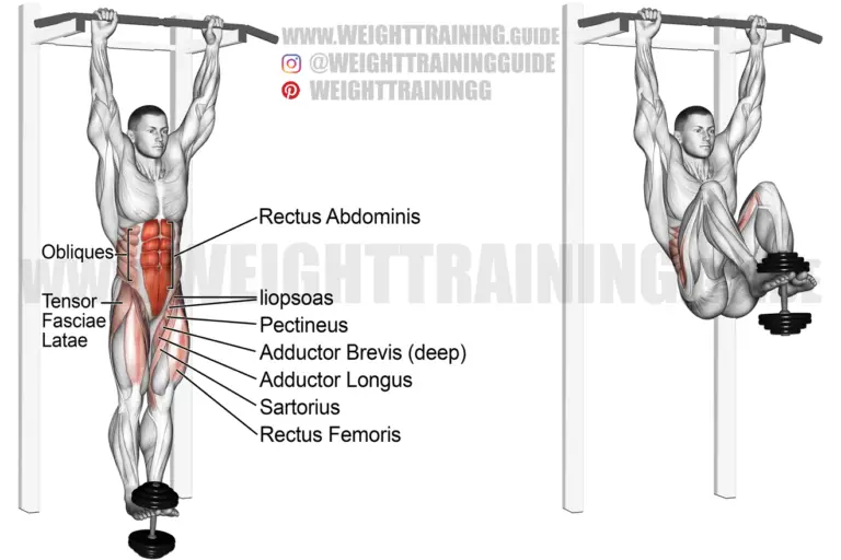 Weighted hanging leg and hip raise