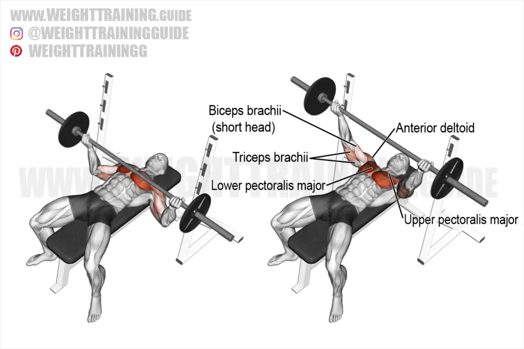 Wide reverse-grip barbell bench press exercise instructions and video