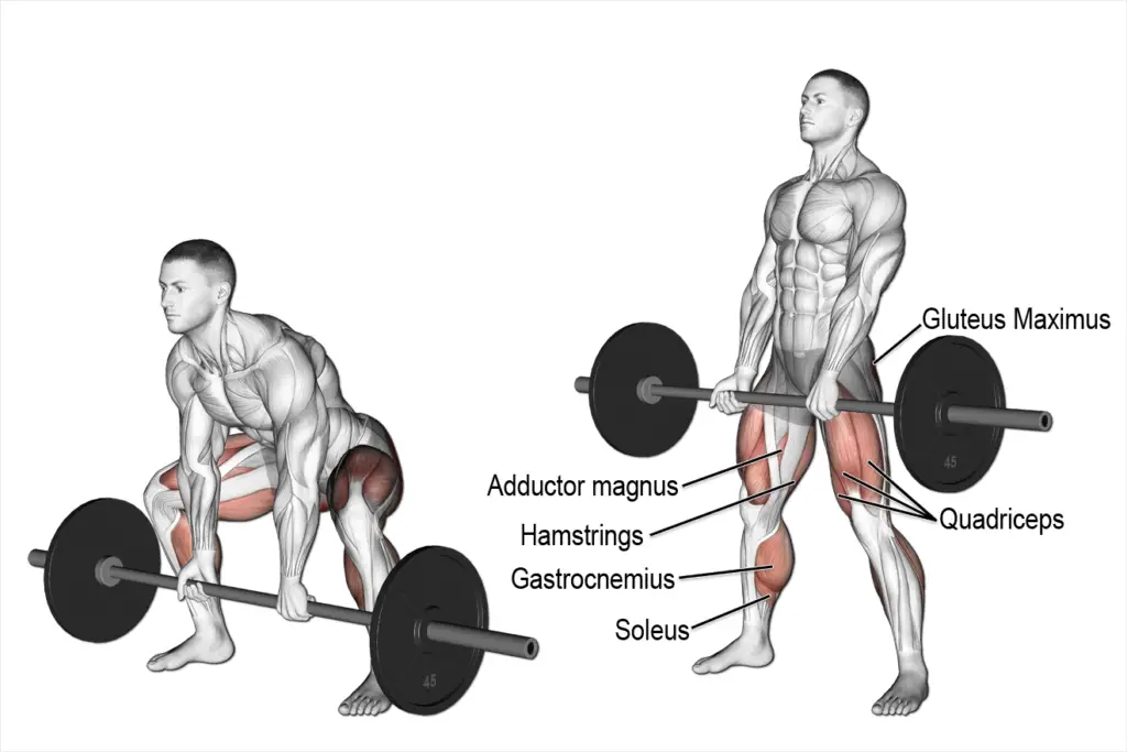 Barbell sumo deadlift exercise