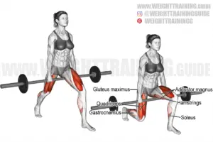 Barbell-between-legs split squat exercise instructions and video