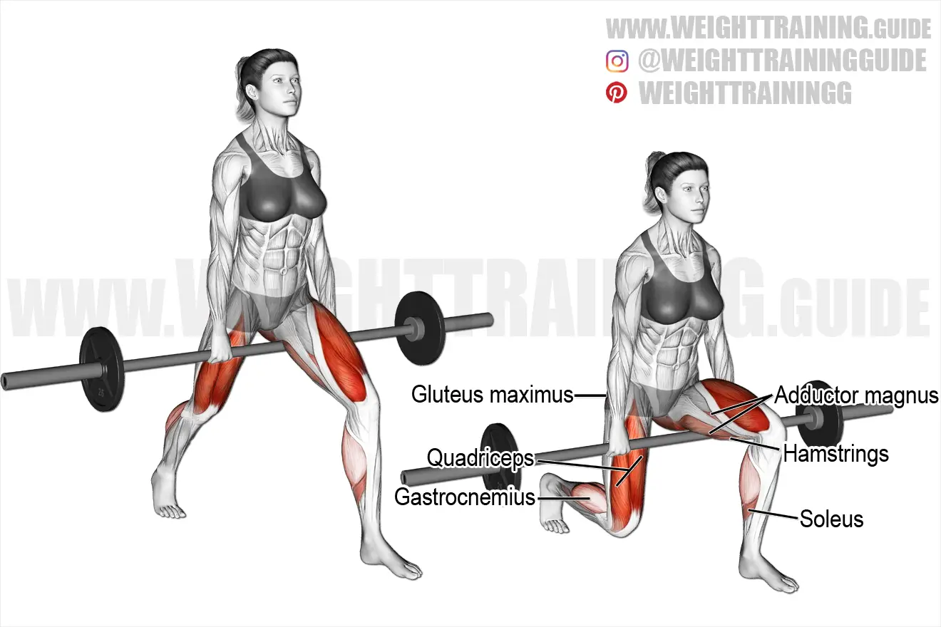 Barbell-between-legs split squat exercise