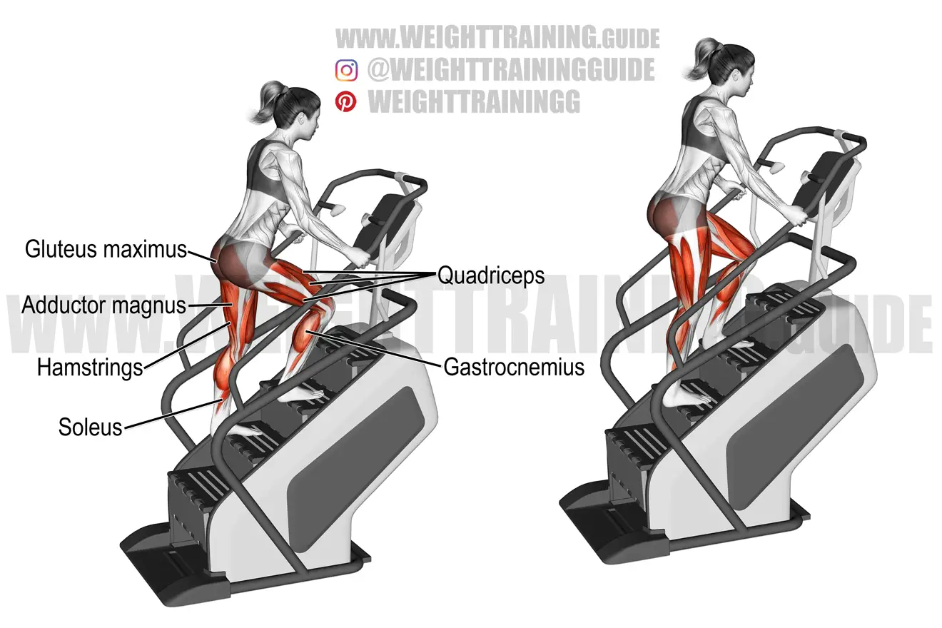 Stairmill climb exercise instructions and video weighttraining.guide