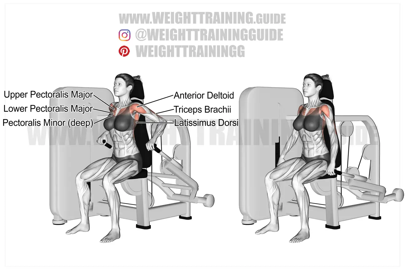 Best arm exercises for great results Page 5 of 14 Weight Training Guide