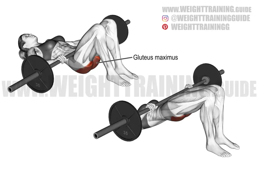 Barbell glute bridge exercise