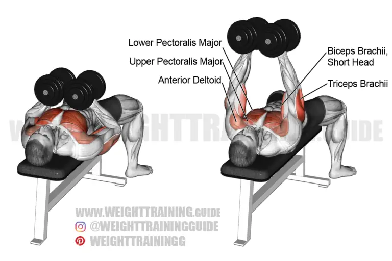 Dumbbell squeeze bench press