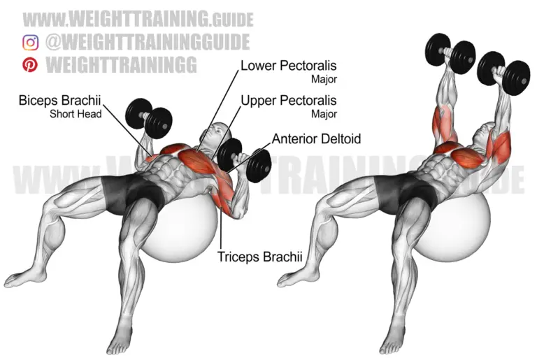 Dumbbell press on a stability ball