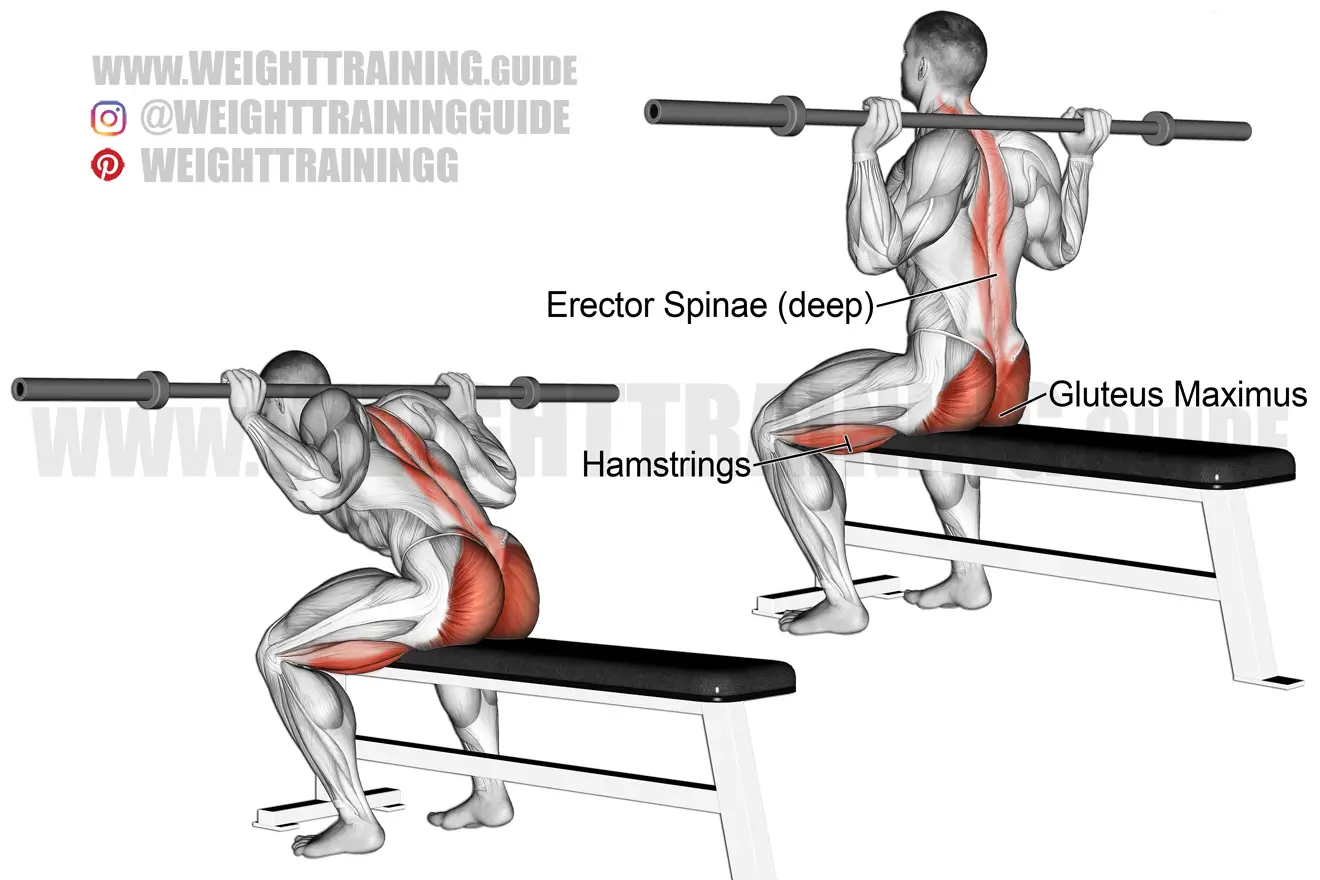 Seated barbell good morning exercise
