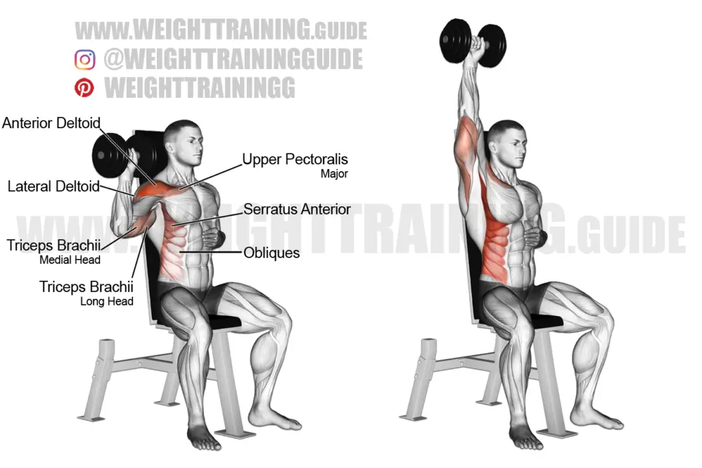 Seated dumbbell one-arm shoulder press exercise instructions and video