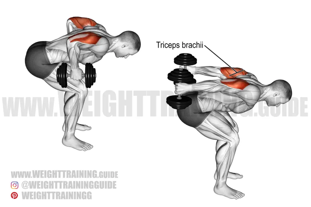 Standing two-arm dumbbell kickback exercise instructions and video