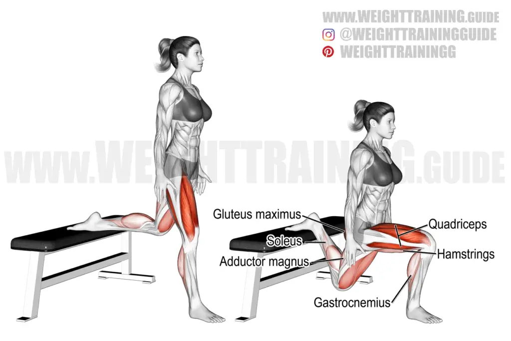 Bulgarian Split Squat Exercise Instructions And Video Weighttrainingguide 