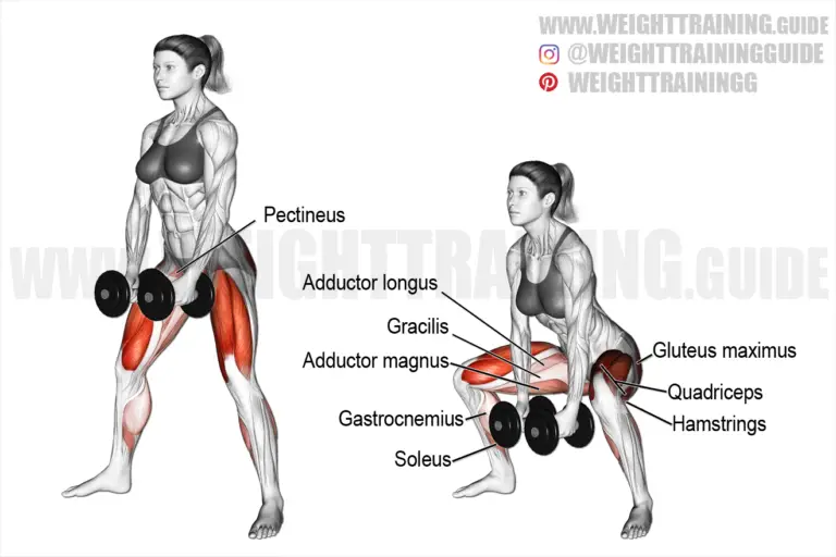 Dumbbell sumo squat (version 2)