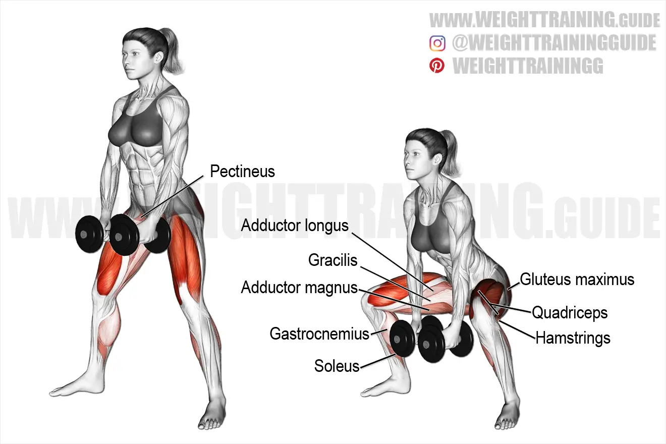 Dumbbell sumo squat exercise