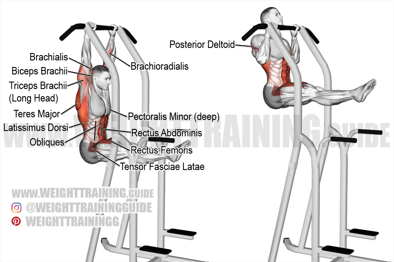 L-sit pull-up exercise instructions and video