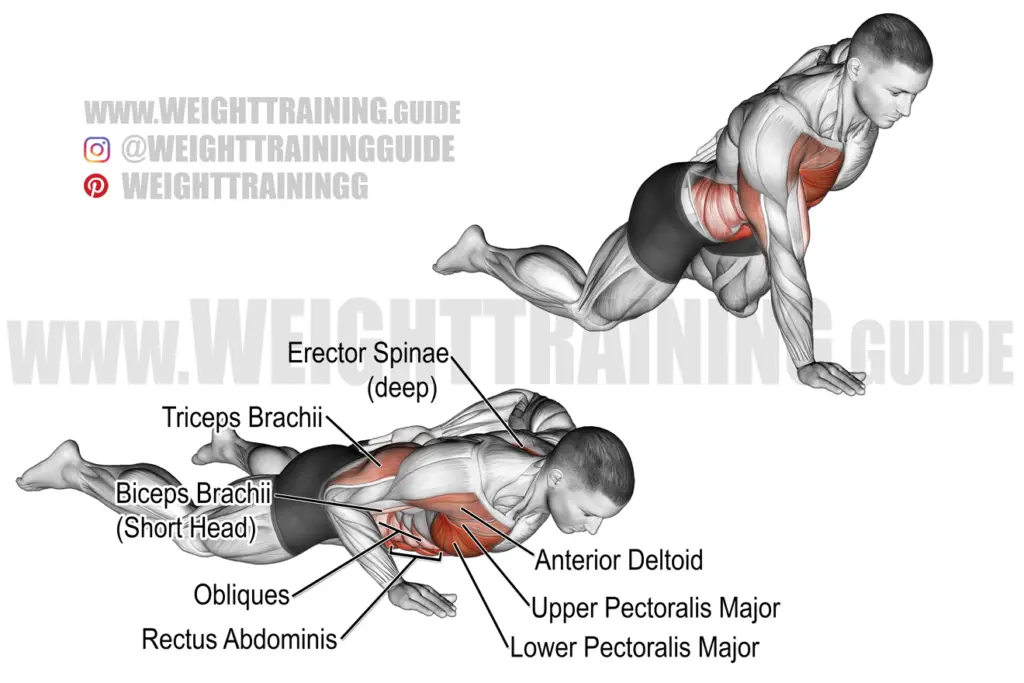 One-arm knee push-up instructions and video | weighttraining.guide