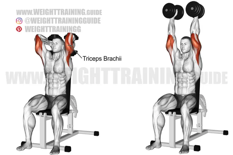 Seated two-arm overhead dumbbell triceps extension