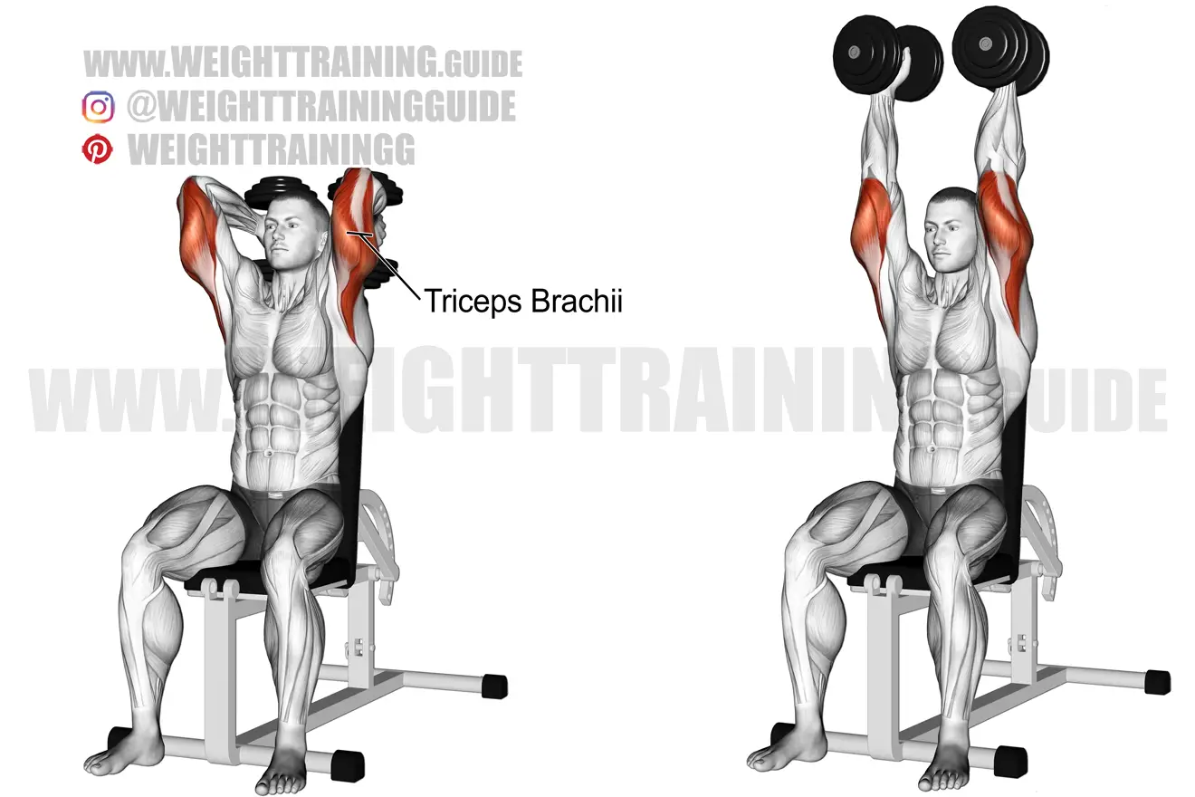 Seated two-arm overhead dumbbell triceps extension exercise