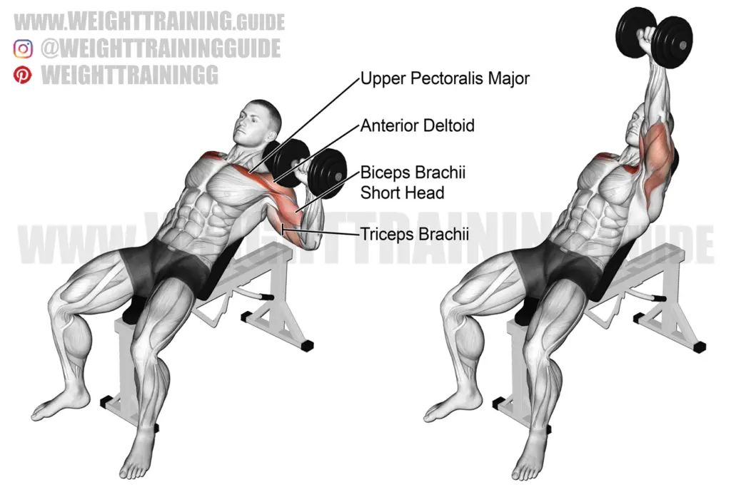 Incline one-arm dumbbell bench press exercise instructions and video