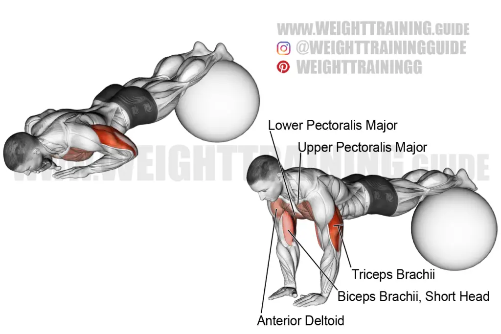 Close-grip decline stability ball push-up exercise instructions and video