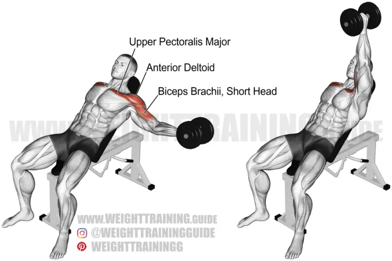 Incline one-arm dumbbell fly