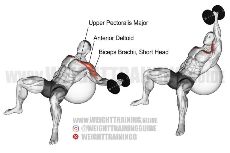 Incline one-arm dumbbell fly on a stability ball