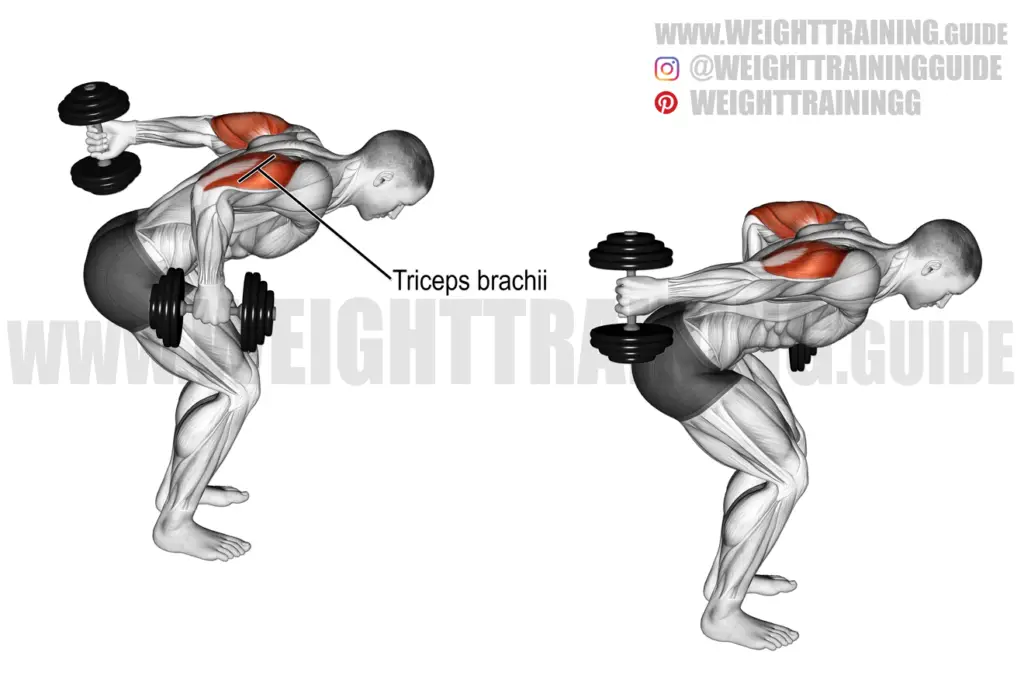 Standing alternating dumbbell kickback exercise instructions and video