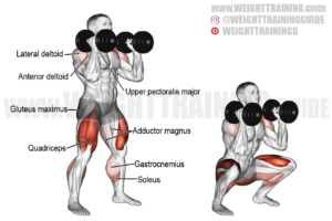 Dumbbell front squat exercise instructions and video | weighttraining.guide