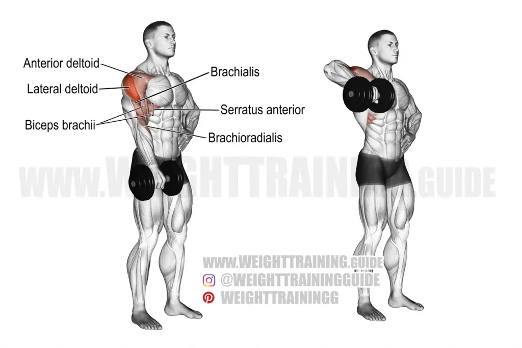 Dumbbell one-arm upright row exercise instructions and video