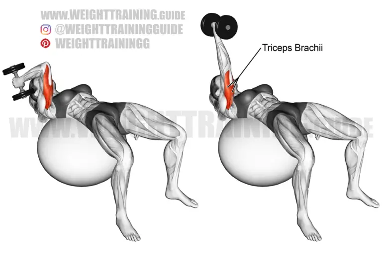 Lying one-arm dumbbell triceps extension on a stability ball
