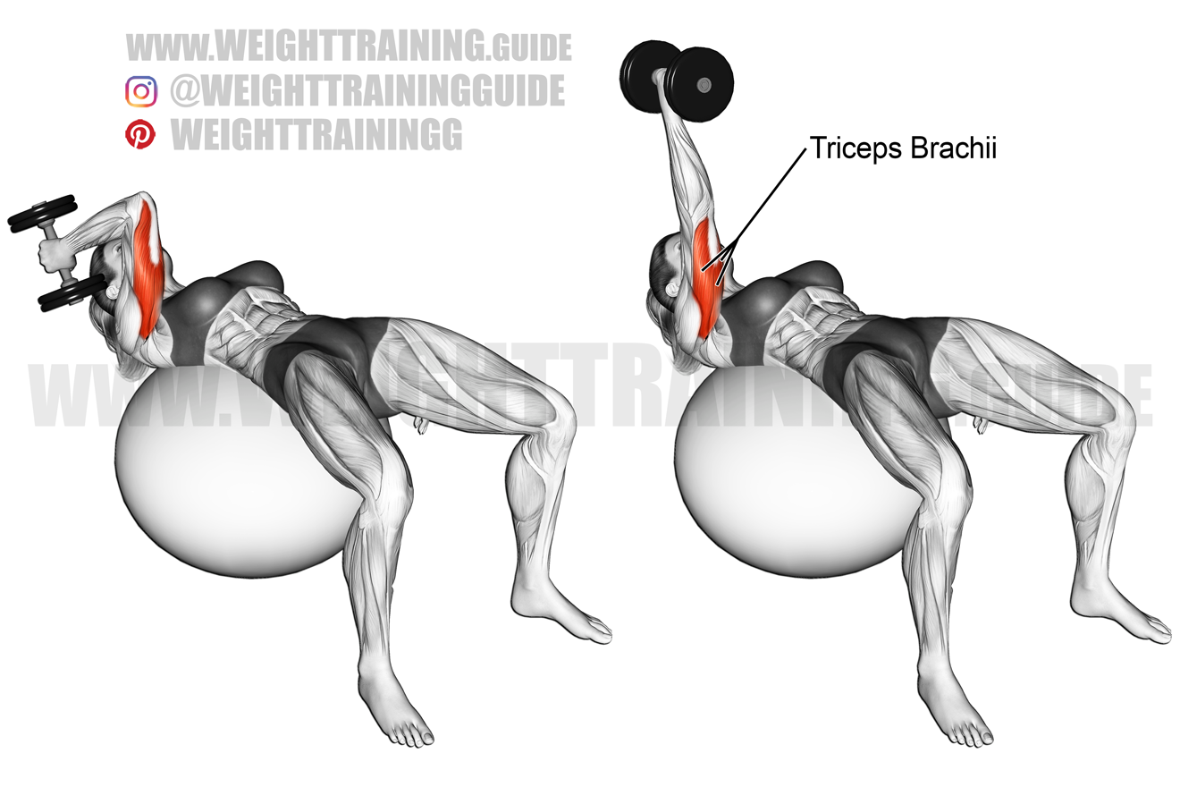 Lying one-arm dumbbell triceps extension on a stability ball exercise