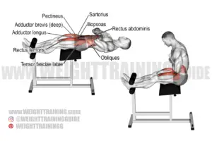 Sit-up exercise instructions and video | WeightTraining.guide