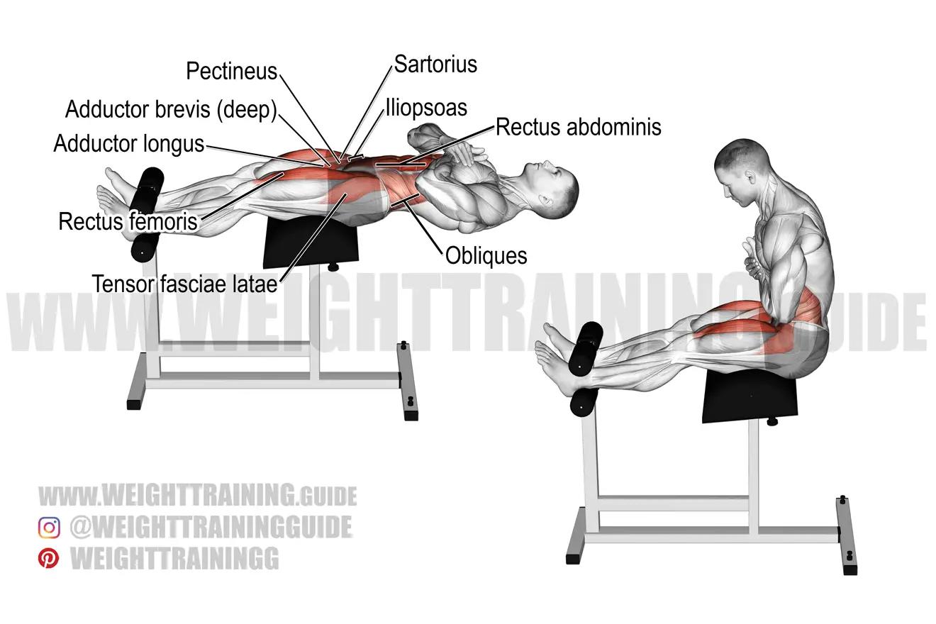 Roman chair sit-up exercise instructions and video