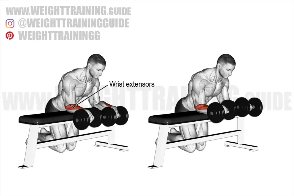 Dumbbell reverse wrist curl over bench exercise instructions and video