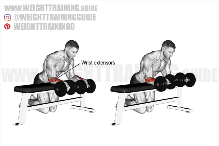 Dumbbell reverse wrist curl over bench