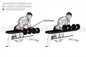 Dumbbell wrist curl over bench exercise instructions and video