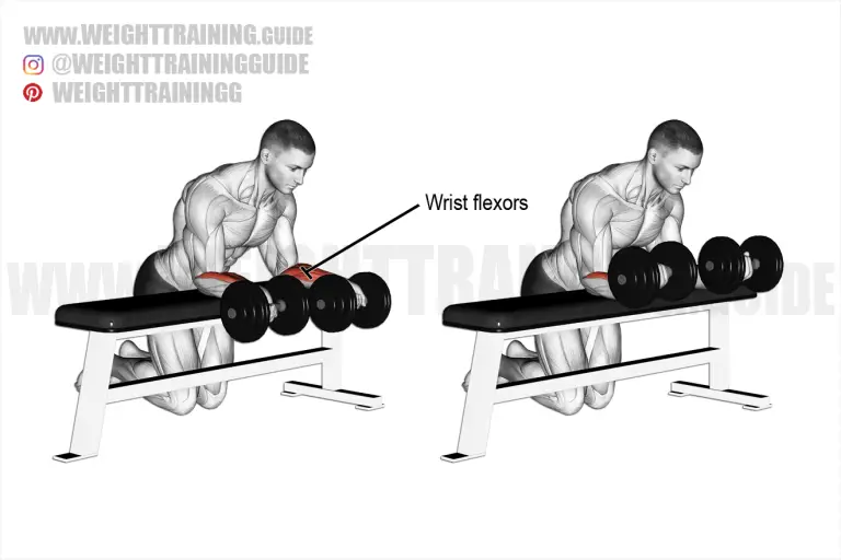 Dumbbell wrist curl over bench
