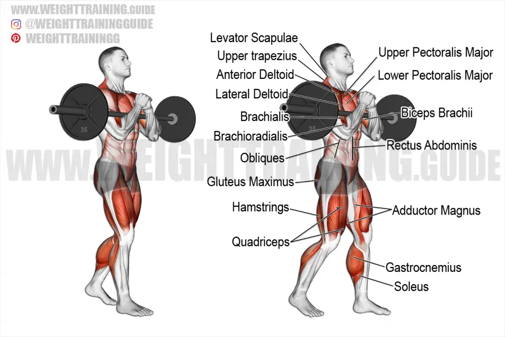 Zercher carry exercise instructions and video | weighttraining.guide