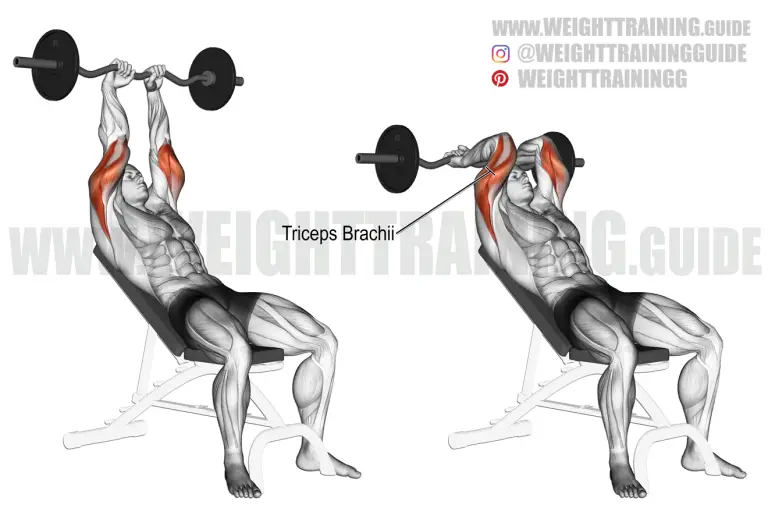 Incline EZ bar triceps extension