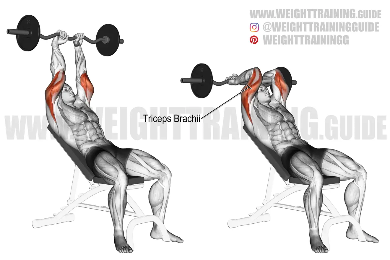Incline EZ bar triceps extension exercise