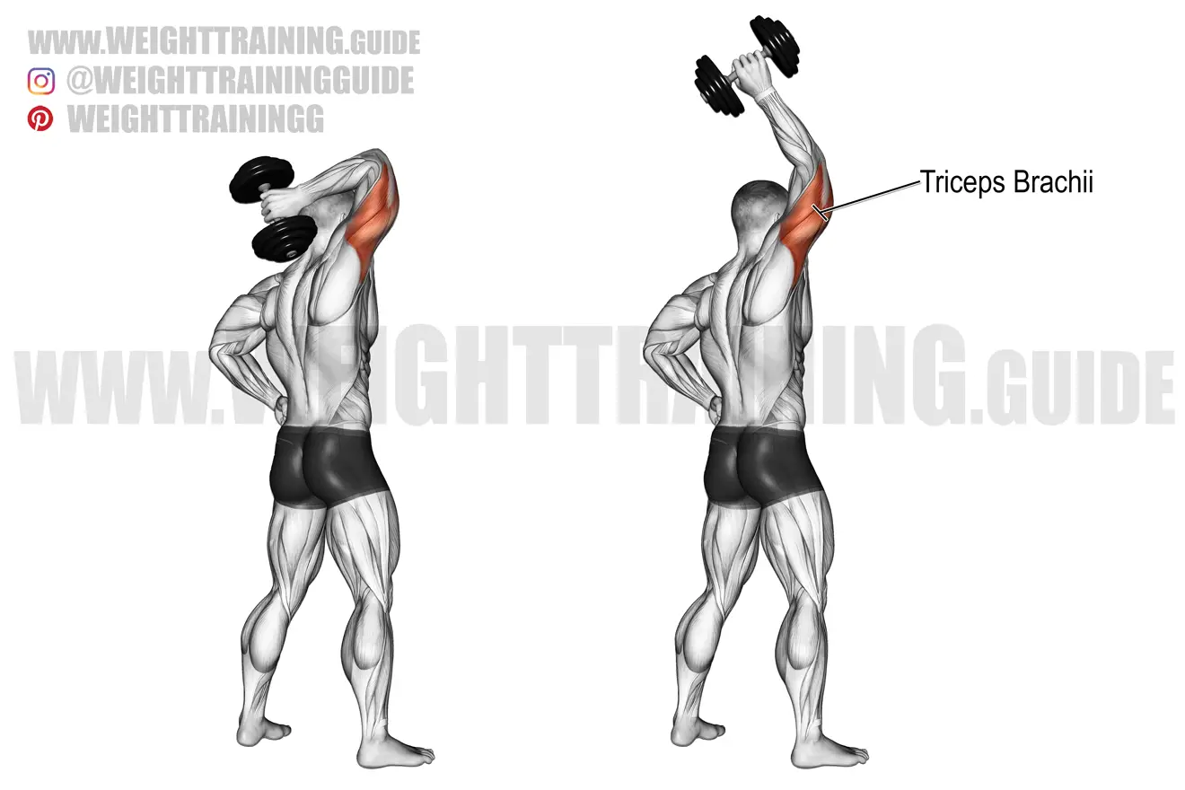Standing one-arm overhead dumbbell triceps extension exercise