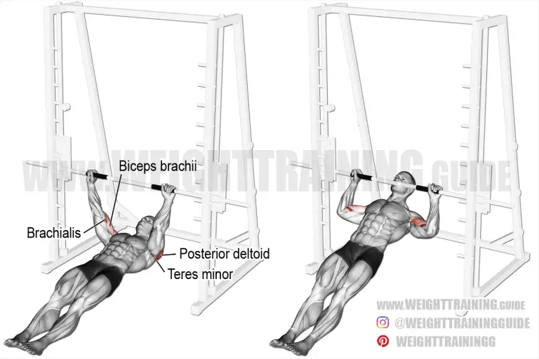 Inverted rear delt row