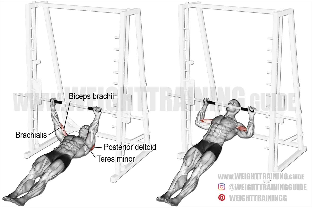 Inverted rear delt row exercise