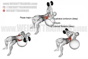 Dumbbell Russian twist on stability ball exercise instructions