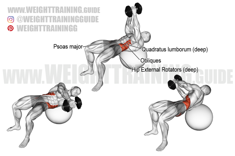 Dumbbell Russian twist on stability ball